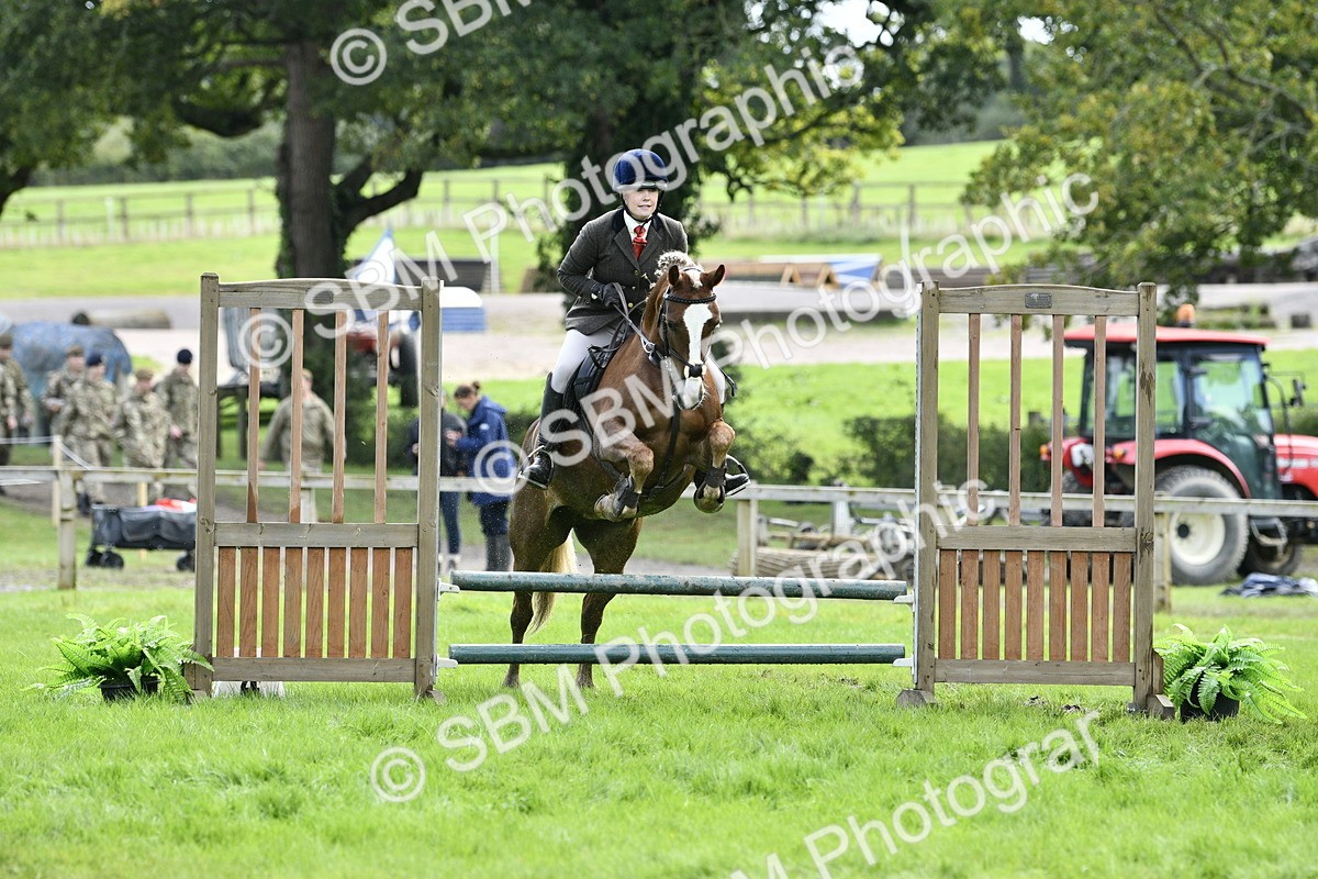 SBM_45639 - S33 - Working Hunter Pony