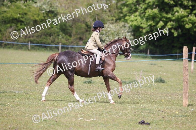 20260426-4036 - Class 33 - Best Pony 14.2hh and Under