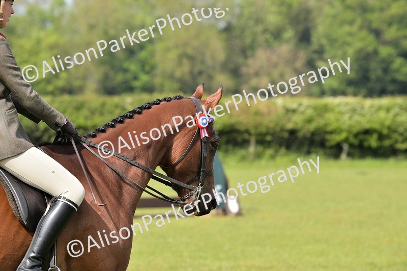 20260426-1146 - Class 19 - Retraining Of Racehorses
