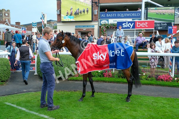 080925-Race 4-Zain Blue-9150 - Race 4 4.00pm Sky Bet Extra Places Middle Distance Handicap