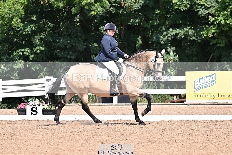 250816-121416-03950 - 082-Sarah.DavisWinston.Classic.Gold