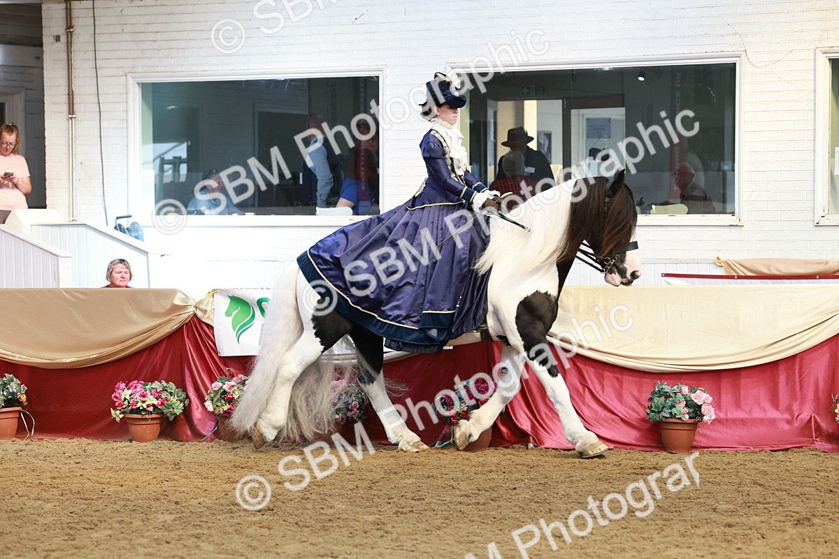 SBM_13734 - Class 106 - Ridden Costume -Astride Adult (15-19)