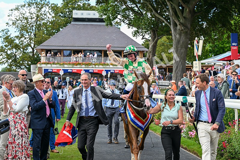 220826-Race 4-Daiquiri Bay-0806 - Race 4 15.35pm Sky Bet Ebor Handicap