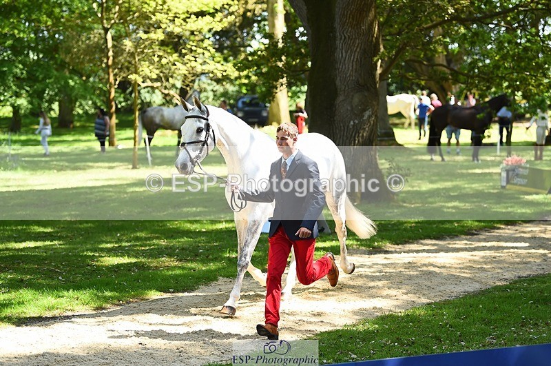 230524-151450-00156 - 314-CHANTILLY_AMATULLAH-Gaspard_Maksud-WEDTrotUp+DR