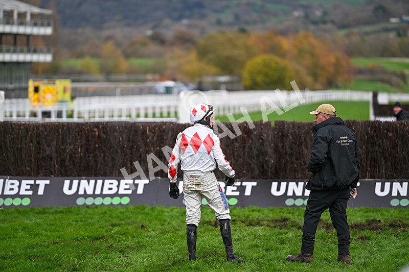 171124-Race 4-Harry Skelton-3533 - Race 4