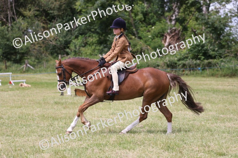 20260614-2829 - Class 22 - Open Working Hunter