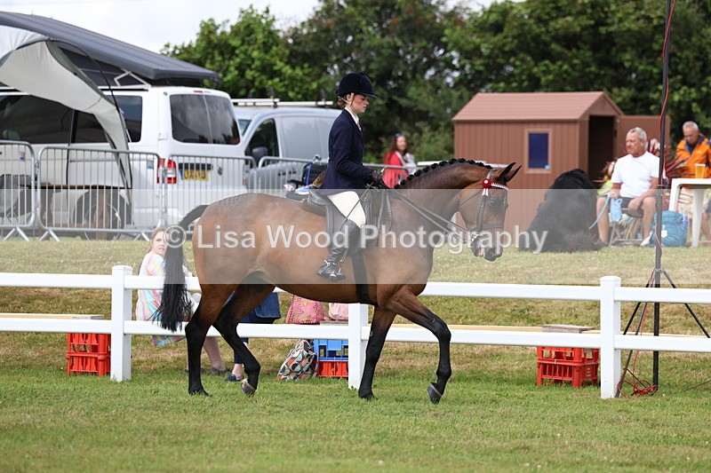 3E7A0474 - Rising Star Ridden Championship