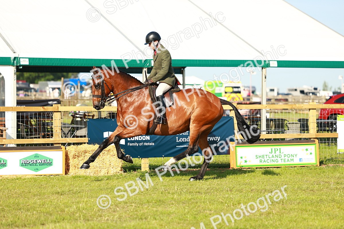 SBM_10785 - Class 66-69 - RIHS Ridden Hunters Inc Small Hunter