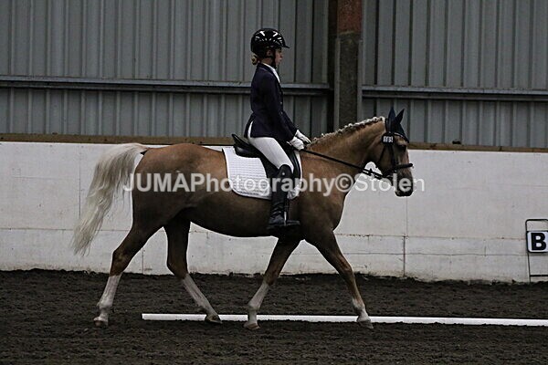 SIAL3545 - CAbin Dressage 5th july 2025