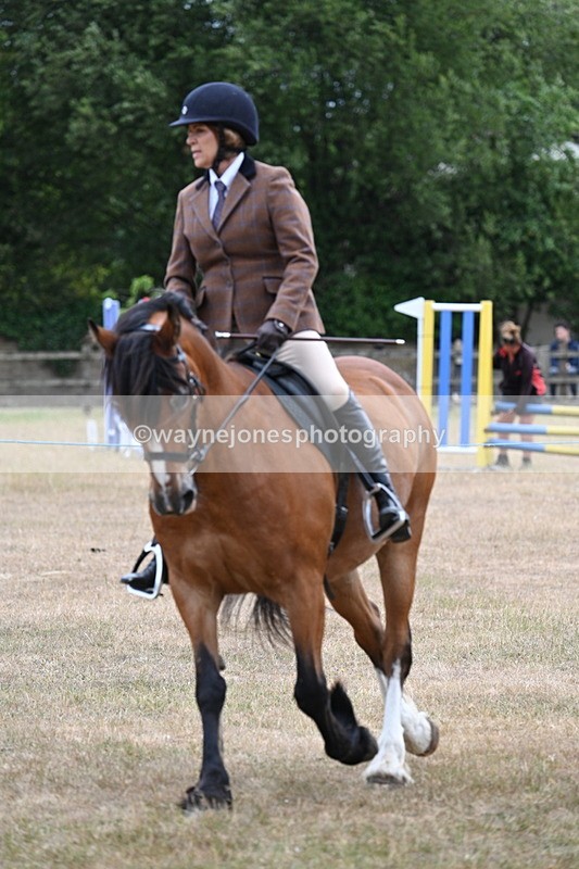 WJ7_0539 - Class 6 Ridden Mountain and Moorland