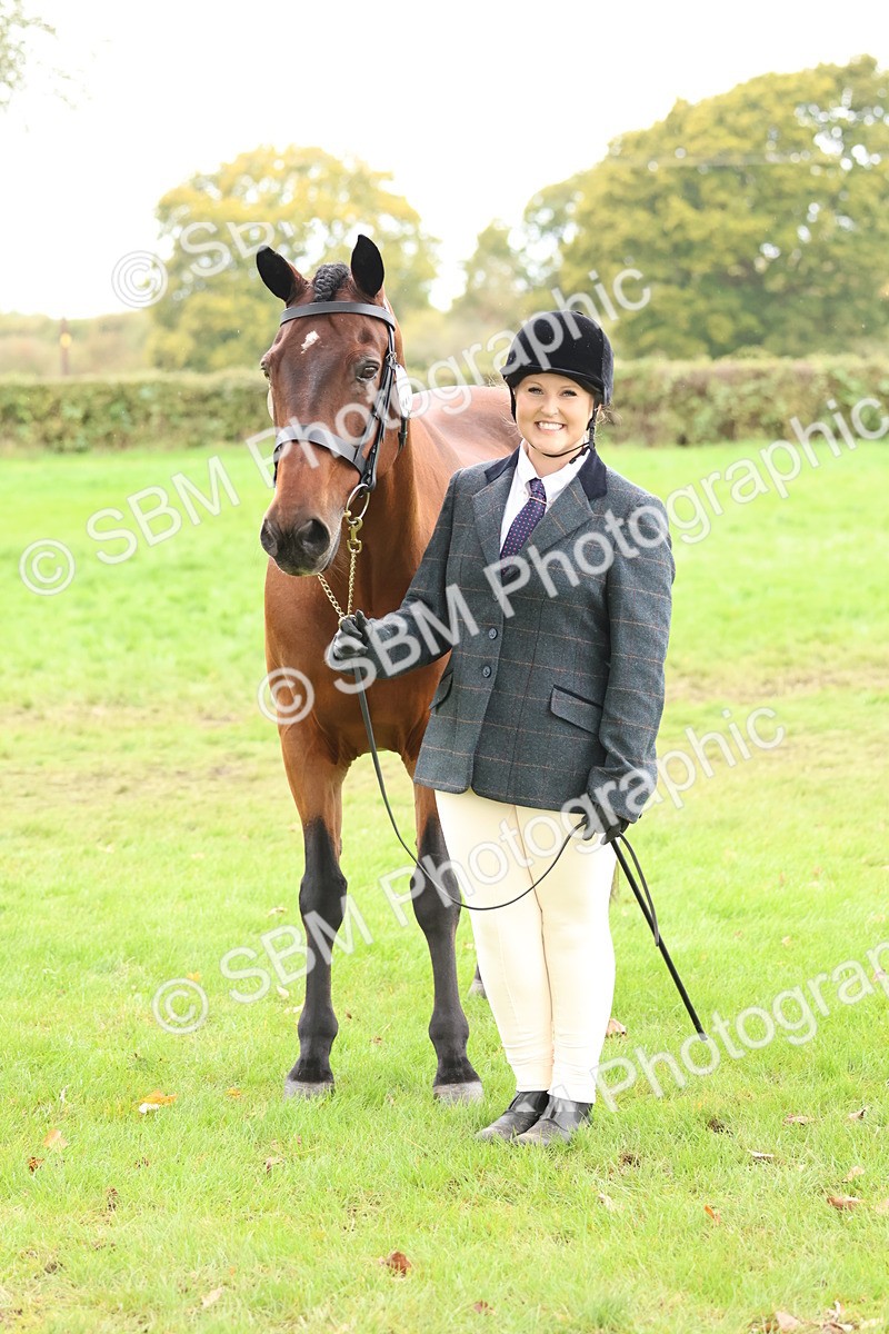 SBM_41728 - S26 - Mature Veteran In Hand