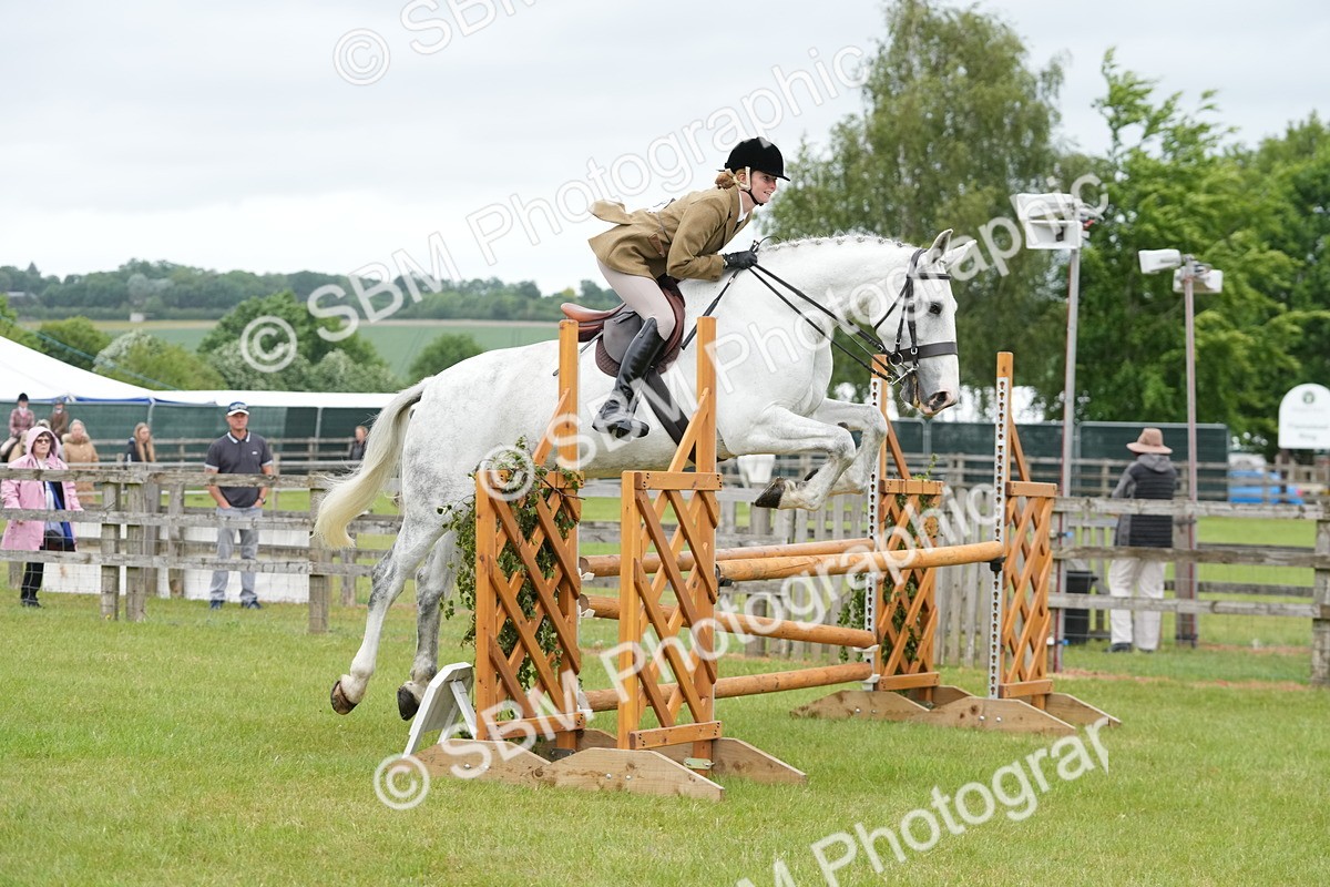 SBM_12530 - Class 97-98 - LIHS BSHA Rising Star Working Show Horse Hunter
