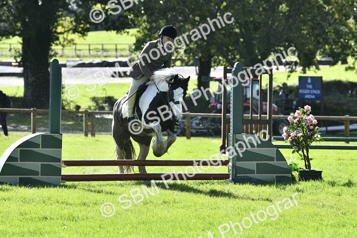 SBM_38189 - S31 - Novice & Newcomer Working Hunter Pony