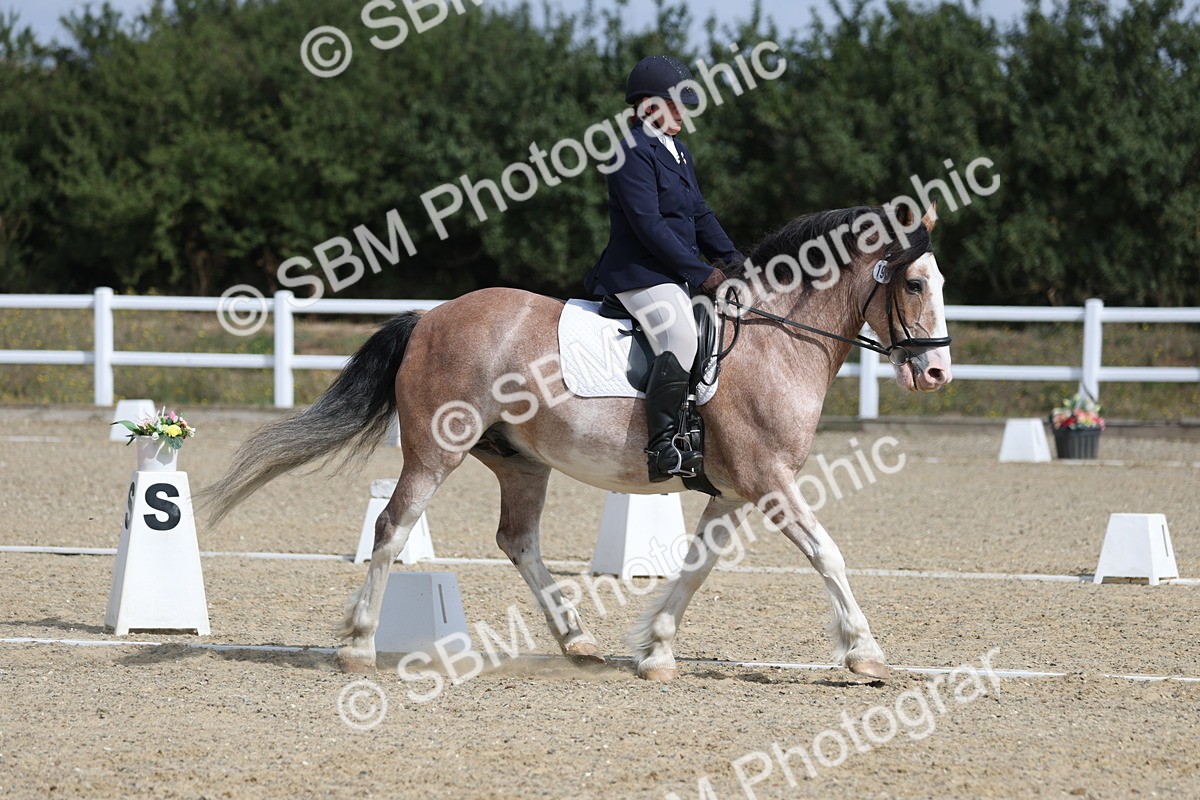 SBM_020926 - Class 21 - M5 Bronze 10.58.12.10