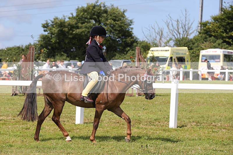 1X9A3808 - Plaited Mini Ridden Championship