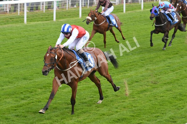 yr10062022r2-23 - Race 2 2.30pm SKF Rous Selling Stakes