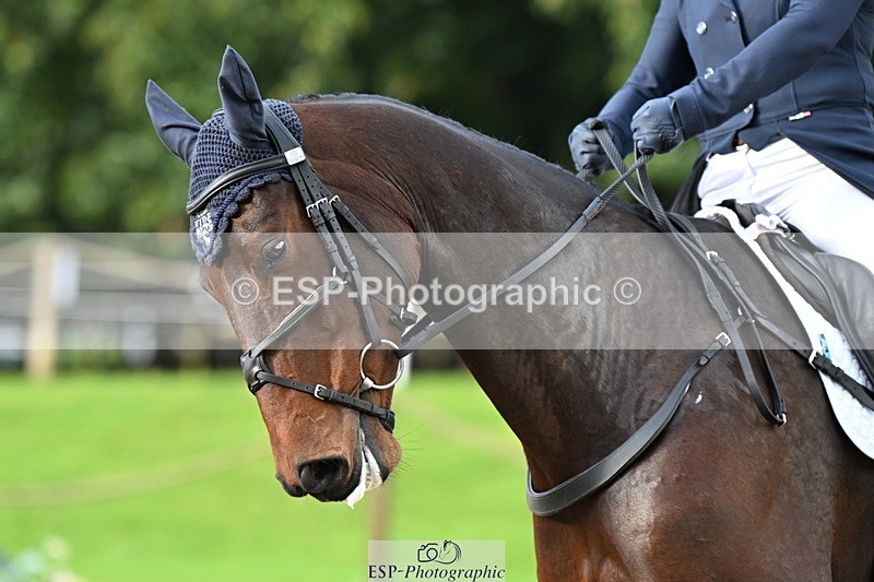 231019-100313-01323 - 030-MONBEG.SHELBY-Kat.Raybould-DR