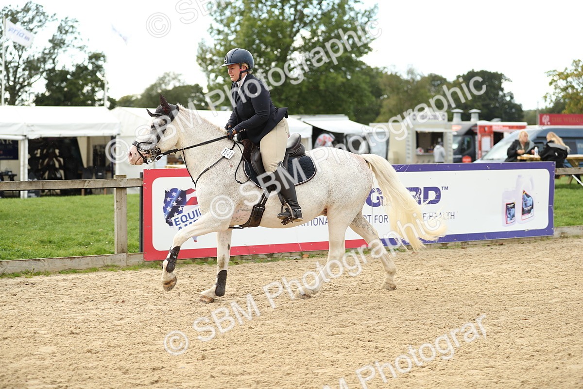 SBM_10861 - J31 - Senior Horse & Pony 75cm Championship