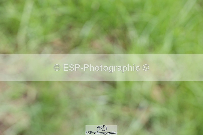 230827-114021-24072 - XC 11 to 12