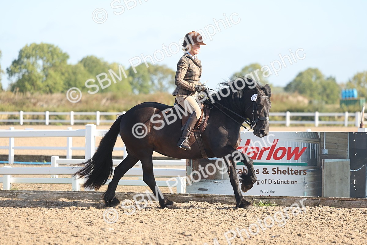 SBM_22120 - Class 801 - Ridden Veterans