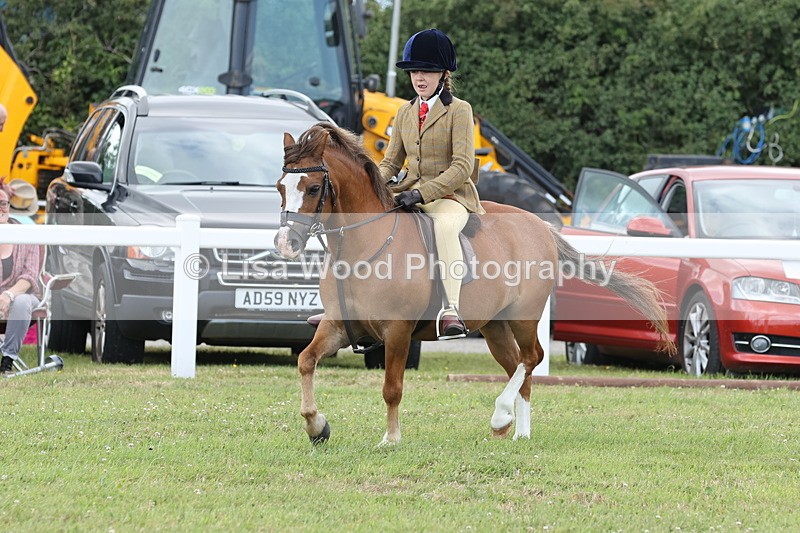 JPP_1923 - Class 18: Tiny Tots Working Hunter Pony
