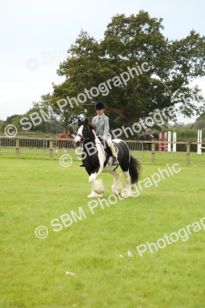 SBM_71667 - S41 - Ridden Equitation (Best Rider)