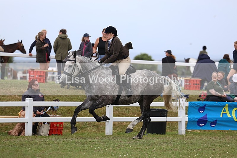 3E7A1506 - Class 9: Open Hunter