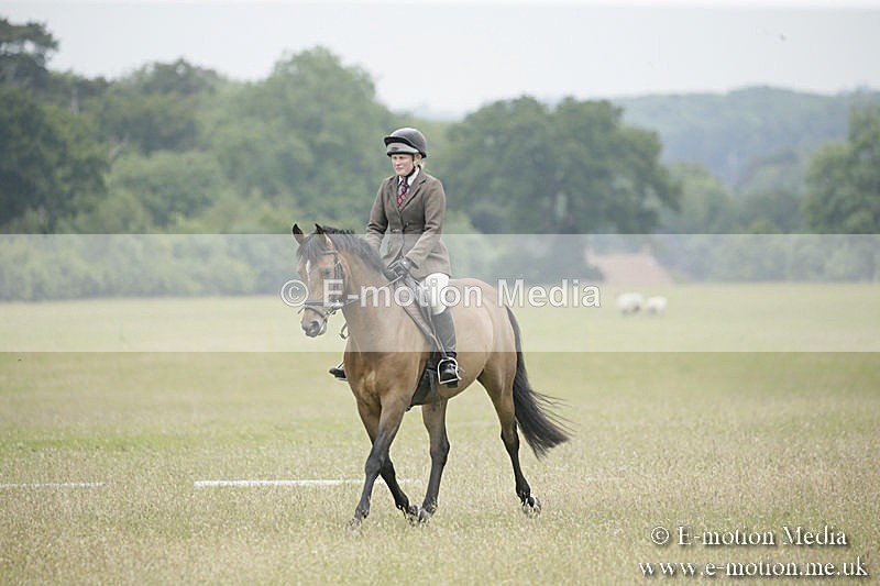 B230619-0617 - Bourne Valley Riding Club Summer Show 23/06/19