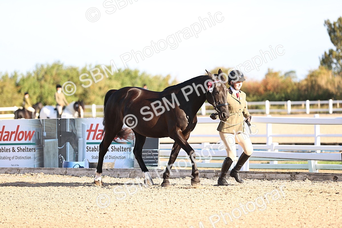 SBM_08329