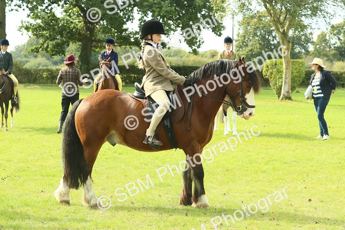 SBM_69037 - S58 - Mini Show Cob Ridden