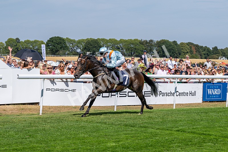 120826-Race 1-Lexington Boom-5097 - Race 1 14.15pm Macan At Porsche Centre Hull EBF Restricted Novice Stakes