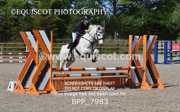 BPP_7983 - CLASS 2 Club/ Unaffiliated 80cms Open