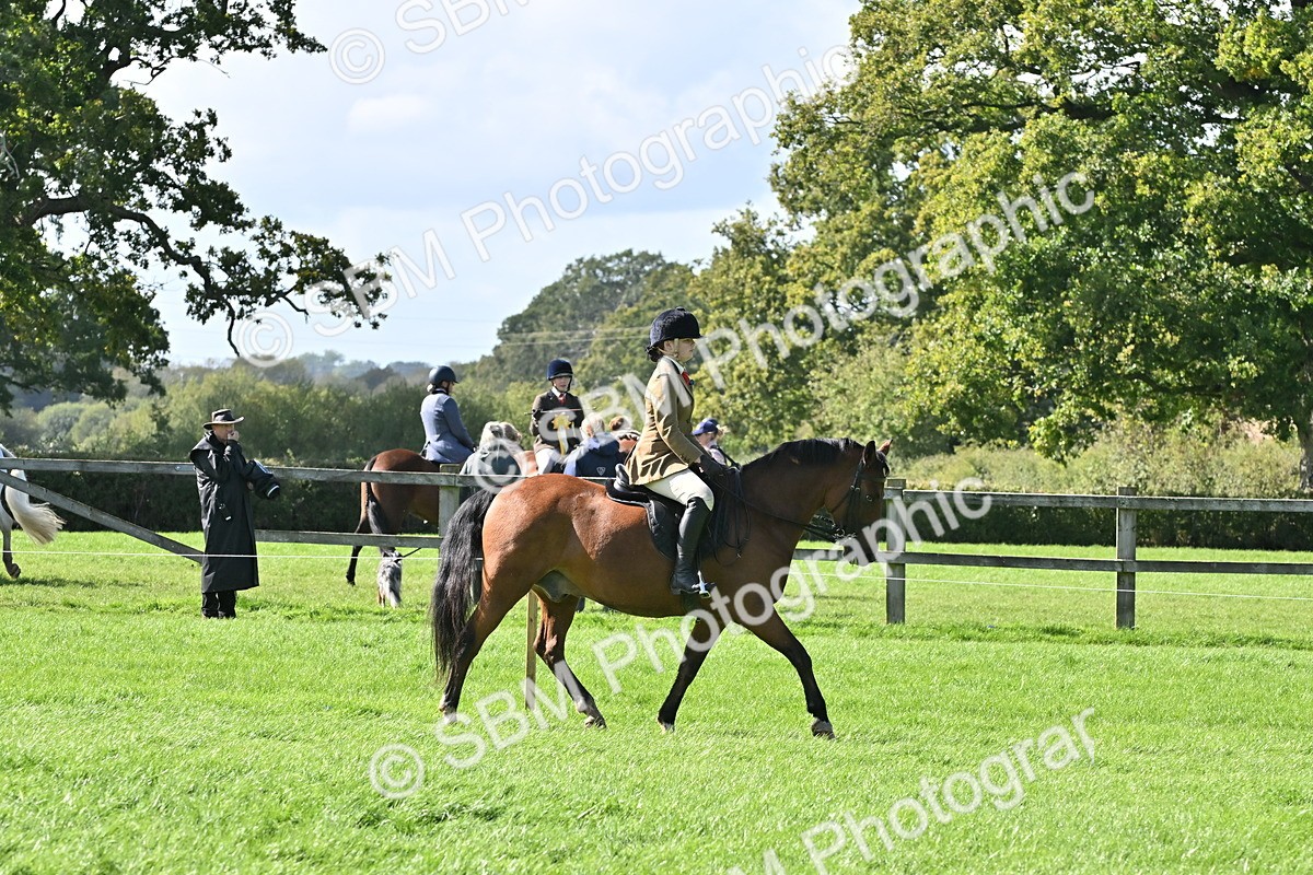 SBM_44576 - S13 - Pony Club Pony
