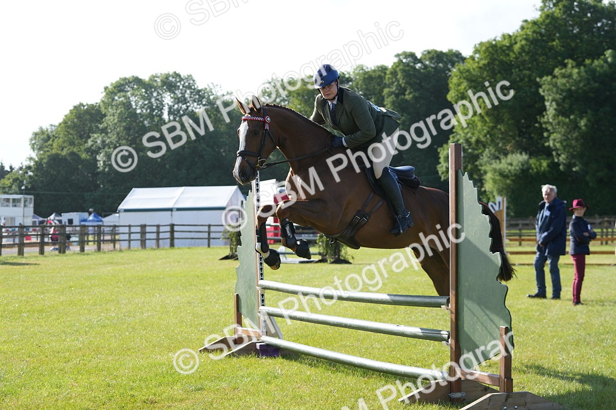 SBM_10508 - Class 97-98 - LIHS BSHA Rising Star Working Show Horse Hunter