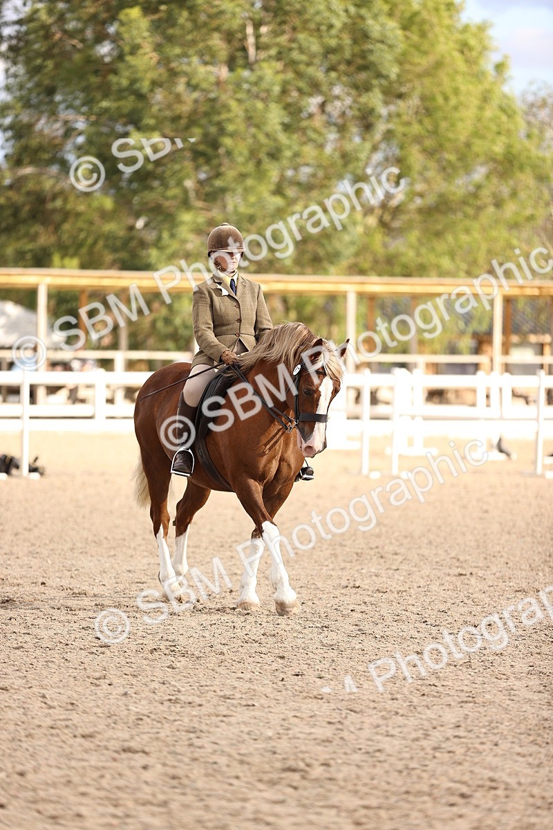 SBM_18256 - Class 423 - Equitation (best rider) Adult