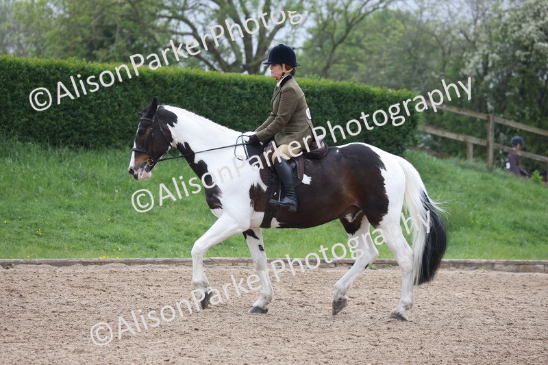 20260504-1047 - Class 14 - Cob and Hunter