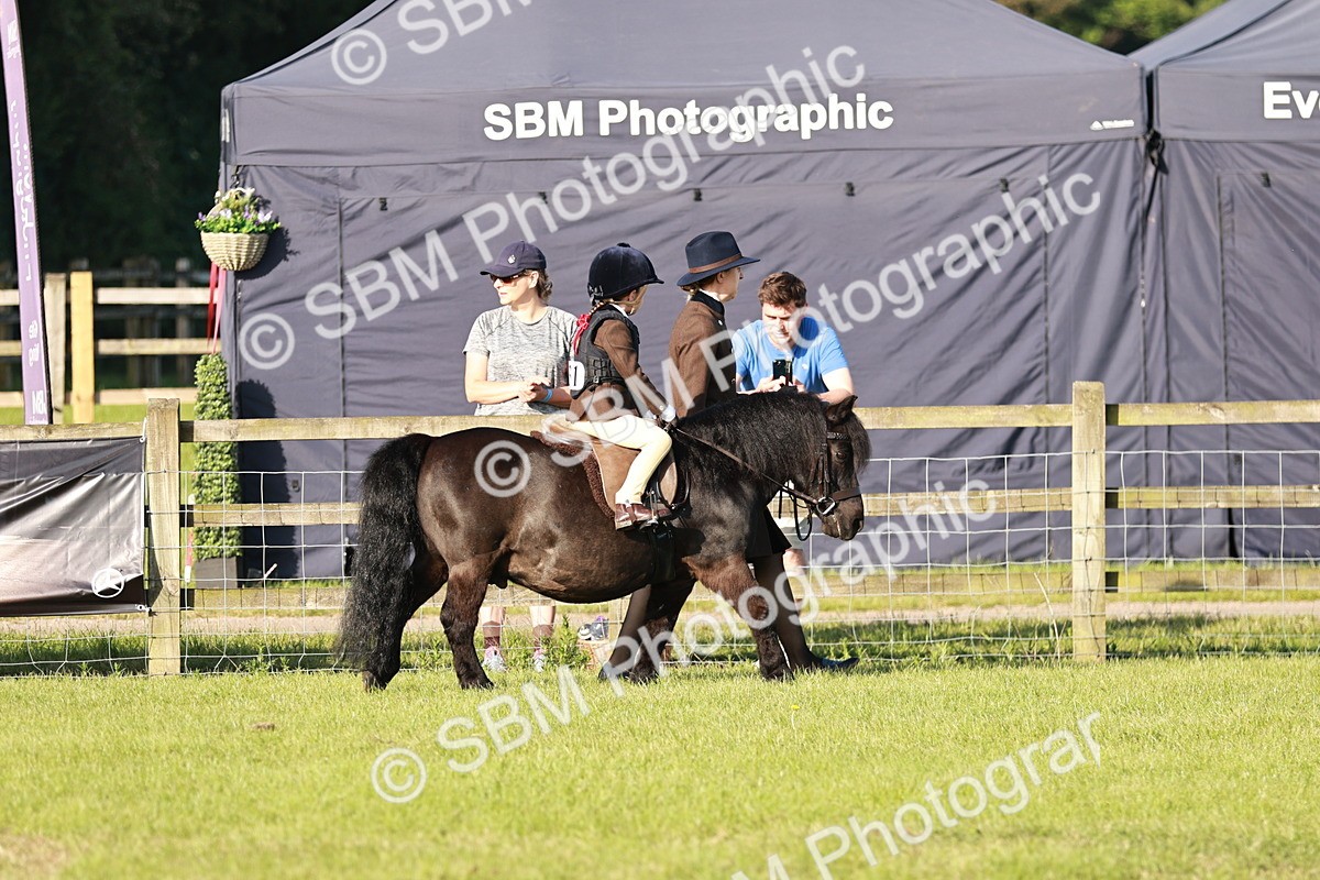 SBM_10982 - Class 106-107 - BSPS LIHS Working Sports Pony