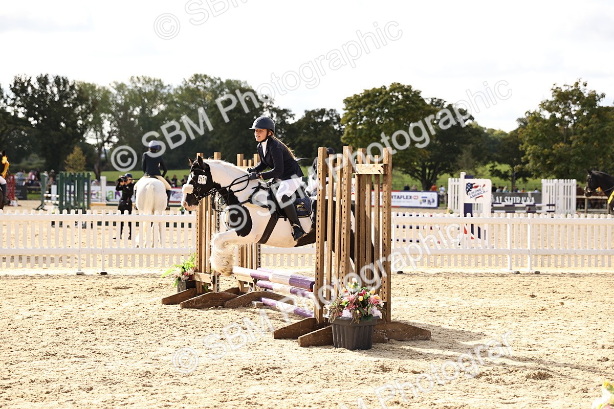 SBM_62128 - J12 - Junior Pony 55cm Championship