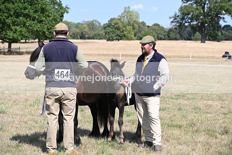 WJ6_5051 - Class 17 Mountain & Moorland