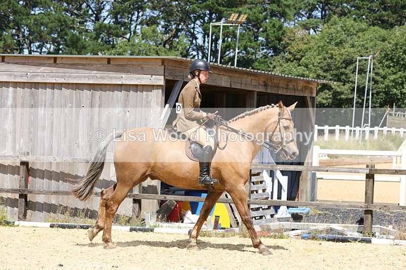 1X9A8803 - Class 19: Riding Club Horse