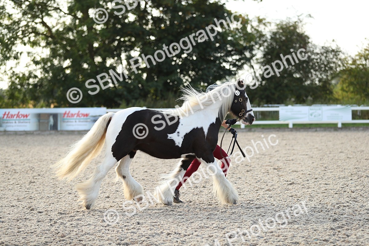 SBM_08903 - Class 29 IH Veteran Pony