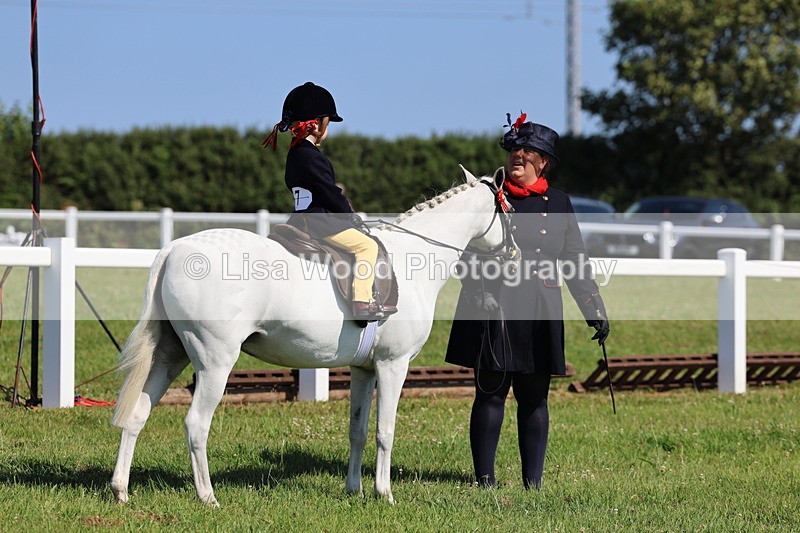 IMG_1849 - Plaited Mini Ridden Championship