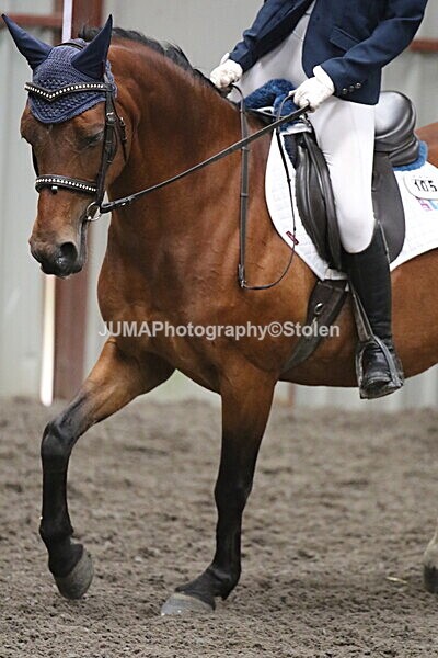 SIAL4956 - CAbin Dressage 5th july 2025