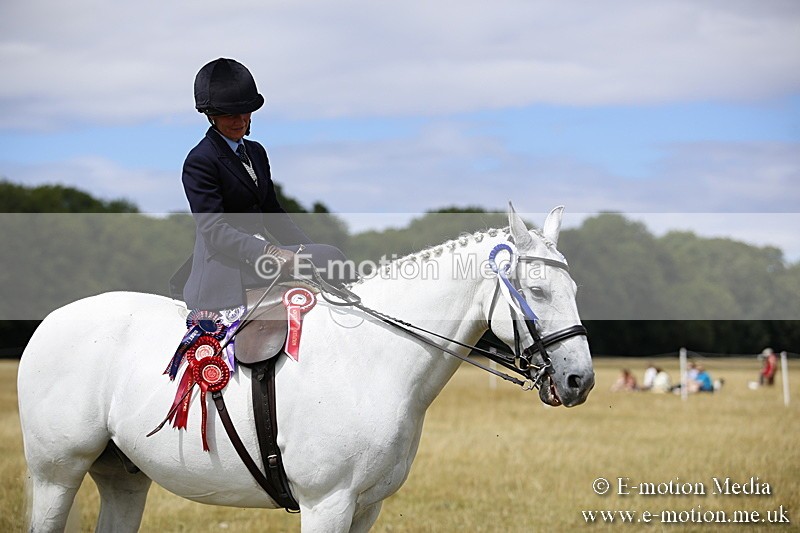 _C7A0311 - Side Saddle Classes BVRC Show 2018