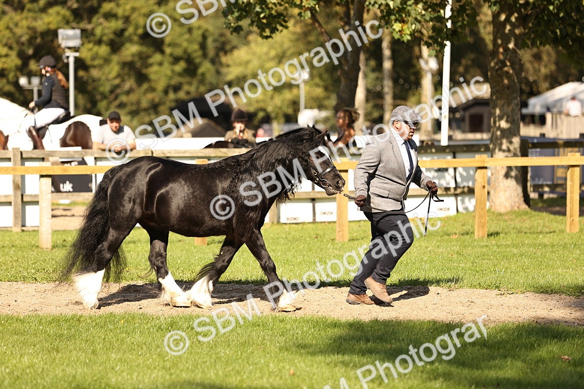 SBM_26166 - S5 - Novice & Newcomers In Hand