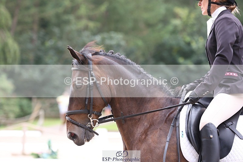 230812-122401-04005 - Cls 5 Novice Bronze 11.15 to 12.50 break