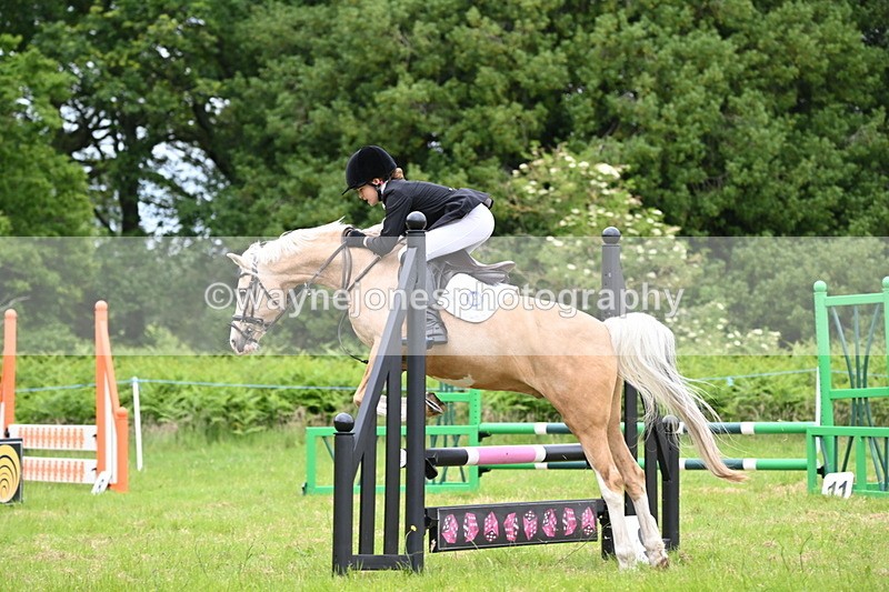 WJ6_5674 - Class 5 pairs 70cm