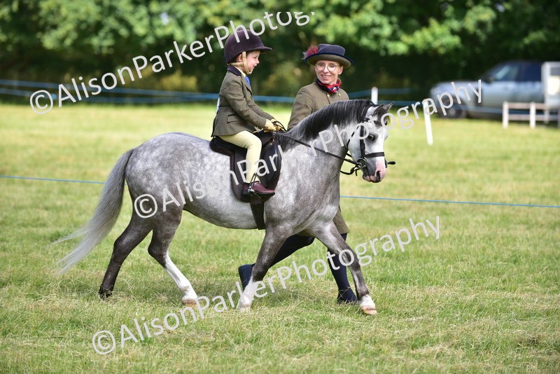 20260614-1136 - Class 11a - Lead Rein Pony (Unplaited)