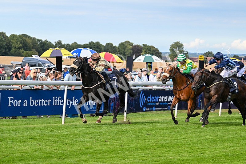 290725-Race 6-Jojo Rabbit-1009 - Race 6