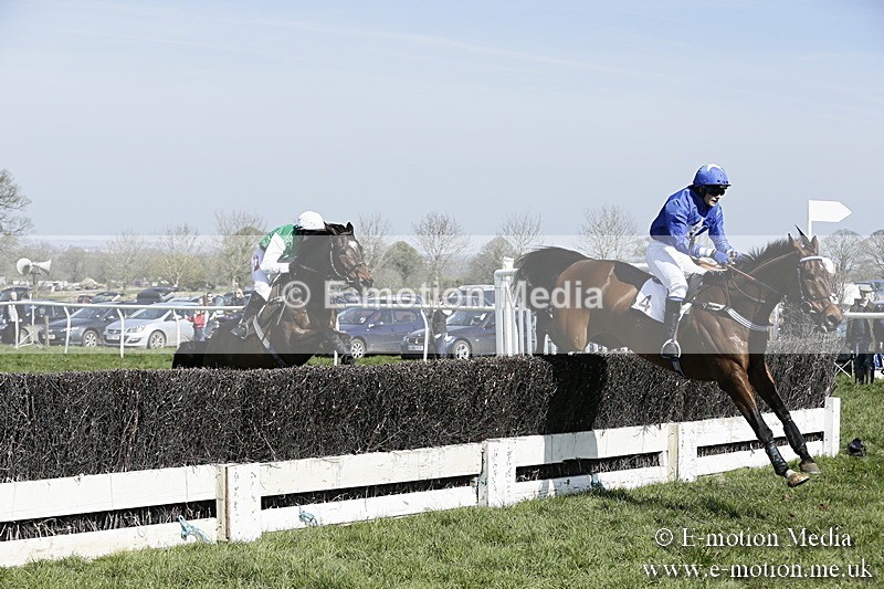 PtP 260317 98 - Mendip Farmers Point-to-Point Ston Easton 26/03/17